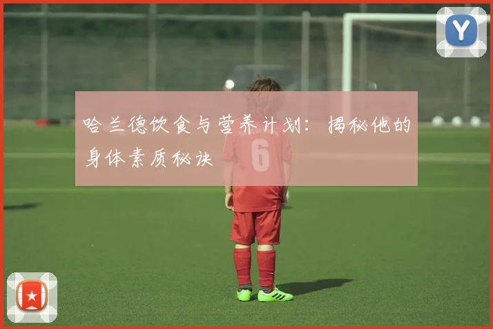 哈兰德饮食与营养计划:揭秘他的身体素质秘诀