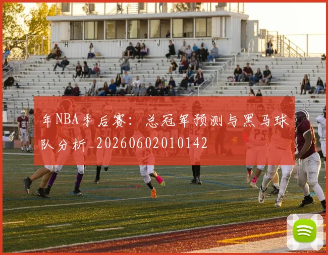 年NBA季后赛：总冠军预测与黑马球队分析_20260602010142